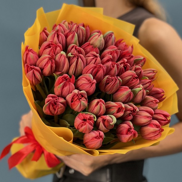 51 красный пионовидный тюльпан  Ред Принц